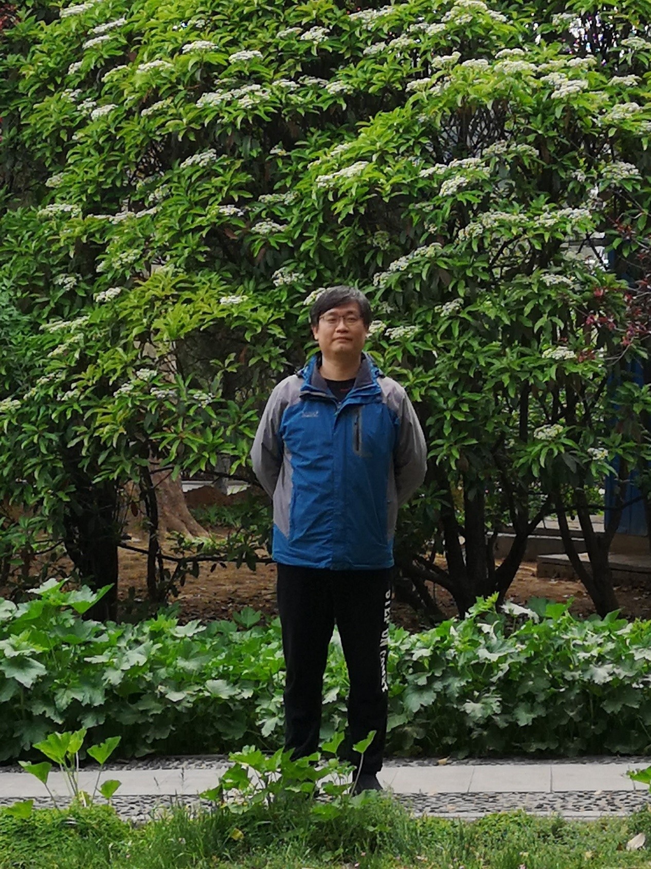 王枫生活照.jpg 王枫生活照.jpg